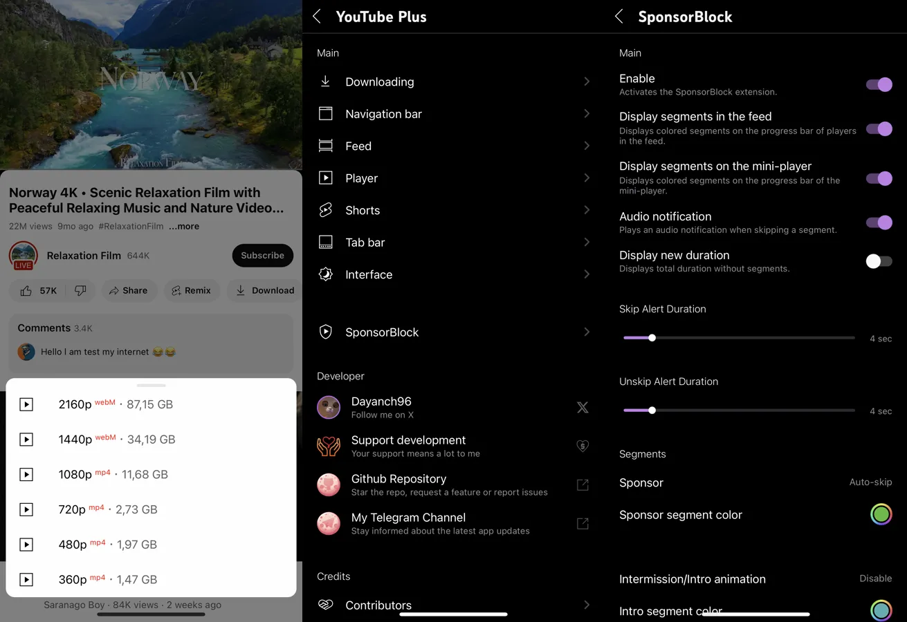YouTube Plus (YTLite) on iPhone – download quality picker, settings and SponsorBlock